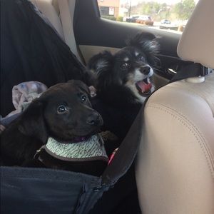 Meet your Posher, Anna